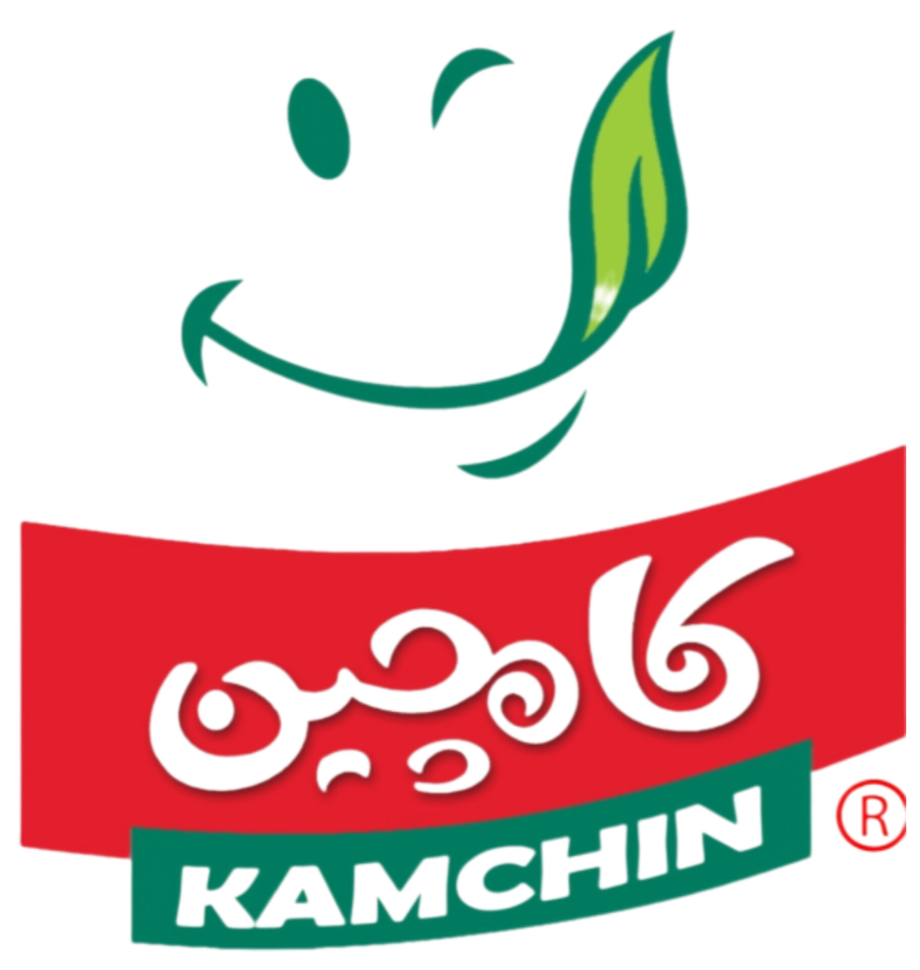 پخش کامچین (سبزیجات سرخ شده)